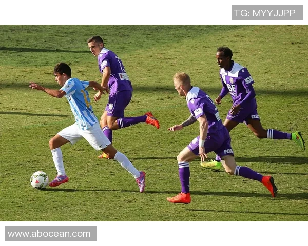 职业生涯足球明星的辉煌历程与成就背后的人生故事